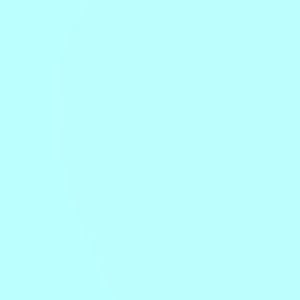 Meet your Posher, Camryn